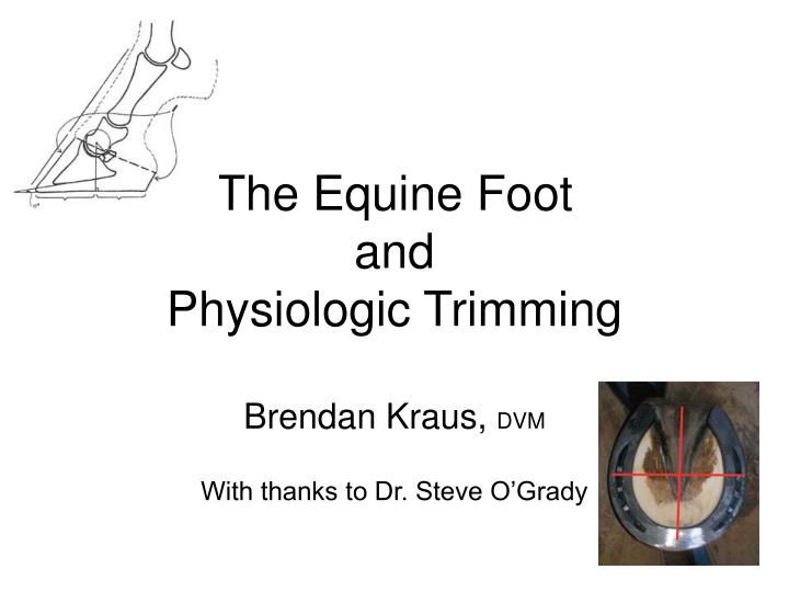 the equine foot and physiologic trimming