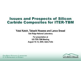 Issues and Prospects of Silicon Carbide Composites for ITER-TBM