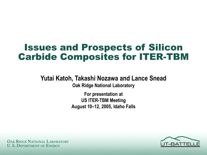 issues and prospects of silicon carbide composites for iter tbm