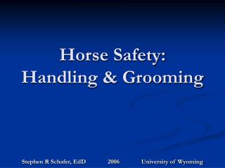 Horse Safety: Handling &amp; Grooming