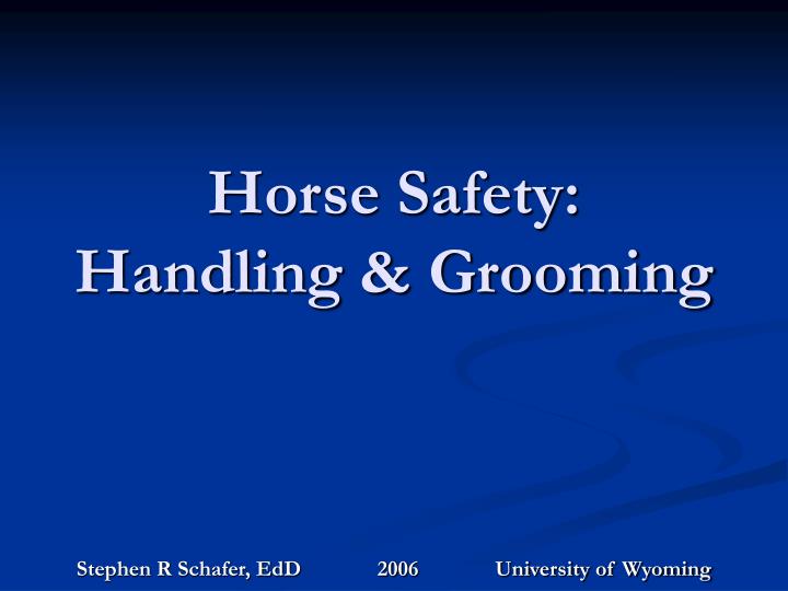 horse safety handling grooming