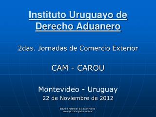 instituto uruguayo de derecho aduanero