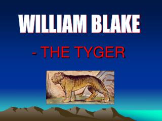 the tyger