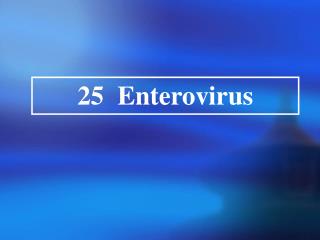 25 Enterovirus