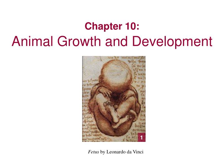chapter 10 animal growth and development