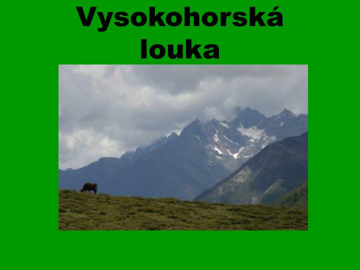 vysokohorsk louka