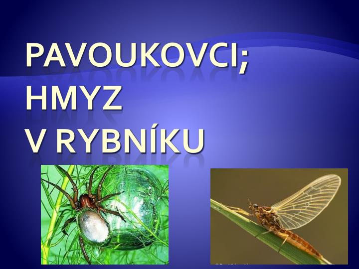 pavoukovci hmyz v rybn ku