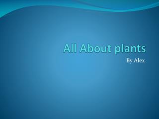 all about plants