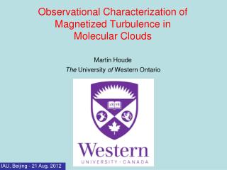 Observational Characterization of Magnetized Turbulence in Molecular Clouds