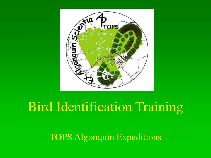 bird identification training