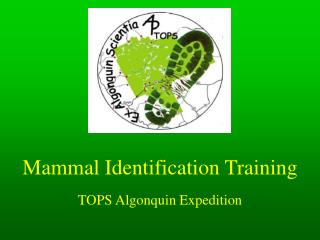 Mammal Identification Training