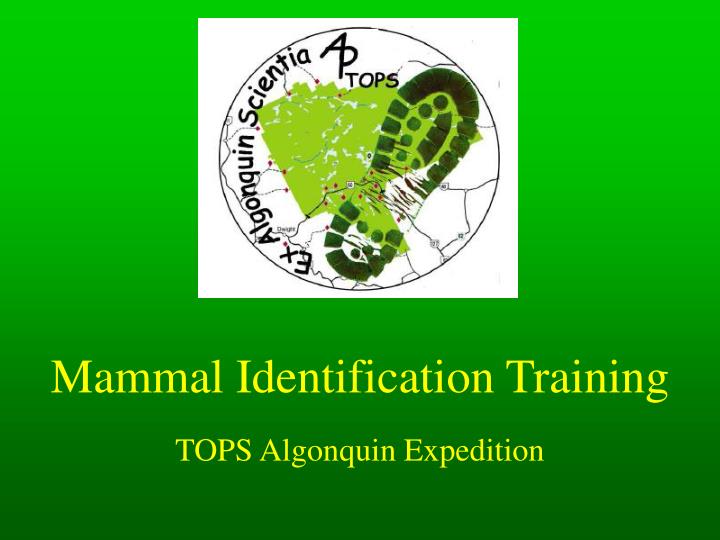 mammal identification training