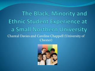 The Black, Minority and Ethnic Student Experience at a Small Northern University