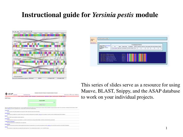 instructional guide for yersinia pestis module