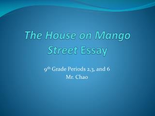 The House on Mango Street Essay