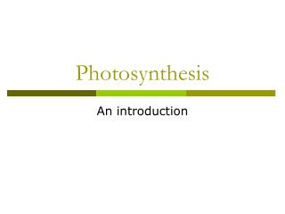 Photosynthesis