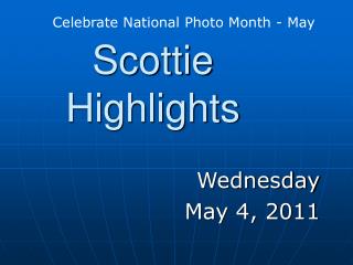 Scottie Highlights
