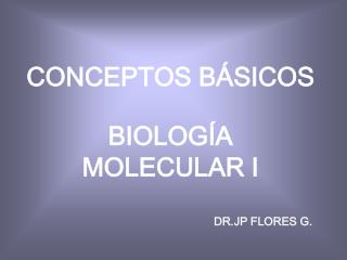 conceptos b sicos