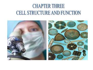 CHAPTER THREE CELL STRUCTURE AND FUNCTION