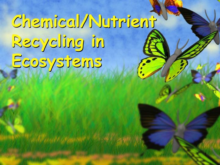 chemical nutrient recycling in ecosystems