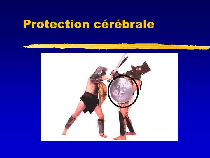 protection c r brale