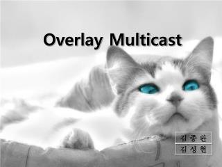 overlay multicast