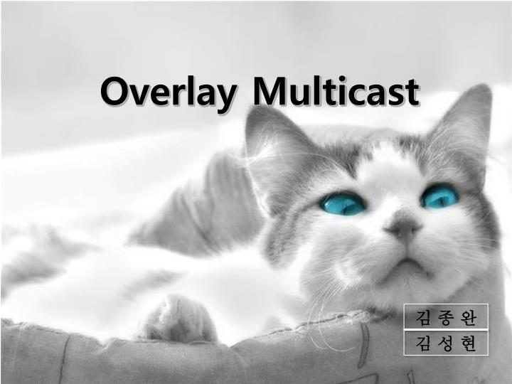 overlay multicast