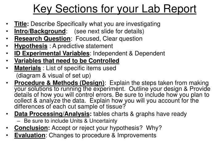 key sections for your lab report