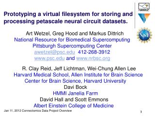 Prototyping a virtual filesystem for storing and processing petascale neural circuit datasets .