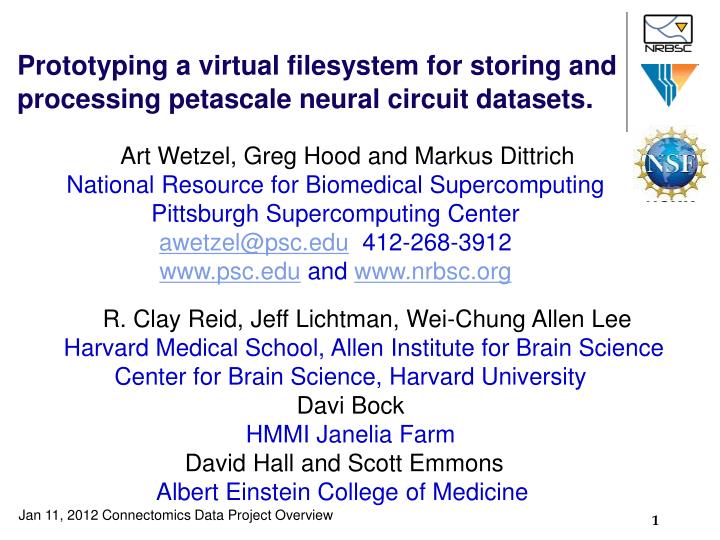 prototyping a virtual filesystem for storing and processing petascale neural circuit datasets