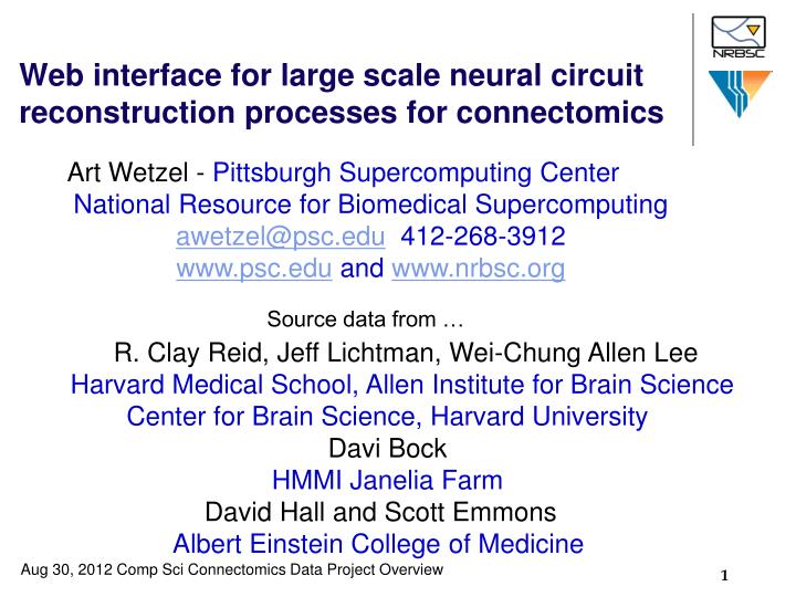 web interface for large scale neural circuit reconstruction processes for connectomics