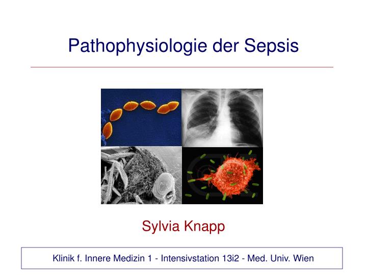 pathophysiologie der sepsis