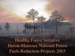 Healthy Forest Initiative Huron-Manistee National Forest Fuels Reduction Projects 2003