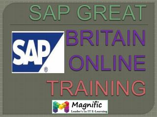 sap great britain payroll online training in india
