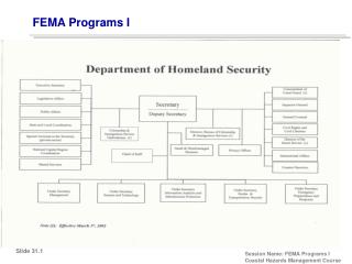 FEMA Programs I