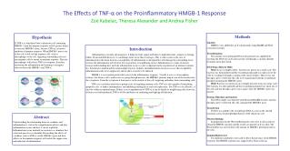 The Effects of TNF- ? on the Proinflammatory HMGB-1 Response