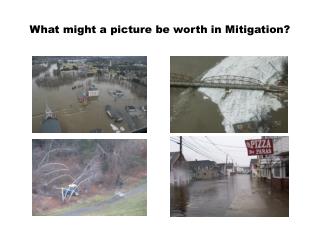 What might a picture be worth in Mitigation?