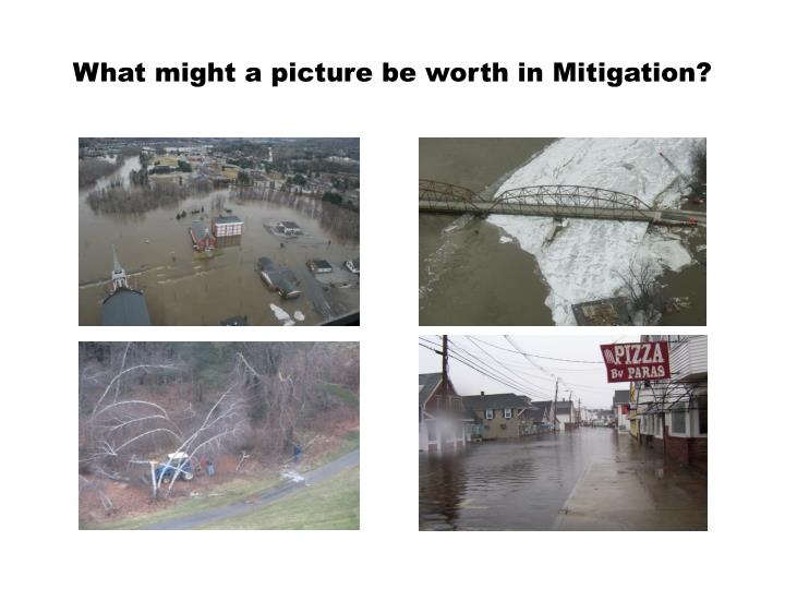 what might a picture be worth in mitigation