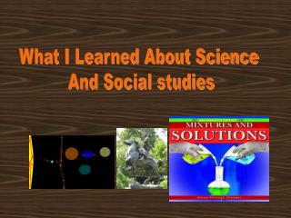 What I Learned About Science And Social studies