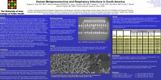 Human Metapneumovirus and Respiratory Infections in South America
