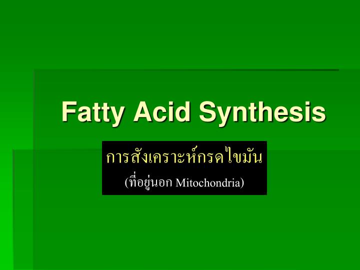 fatty acid synthesis