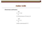 Amino Acids - slide 1