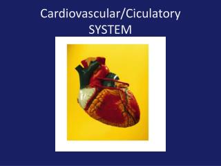 Cardiovascular/Ciculatory SYSTEM