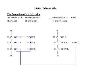 Lipids (fats and oils)