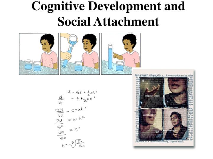 cognitive development and social attachment