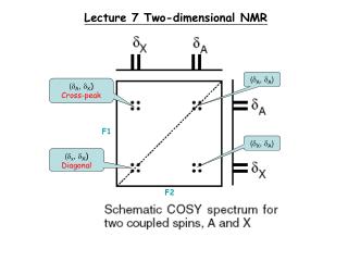 Lecture 7 Two-dimensional NMR