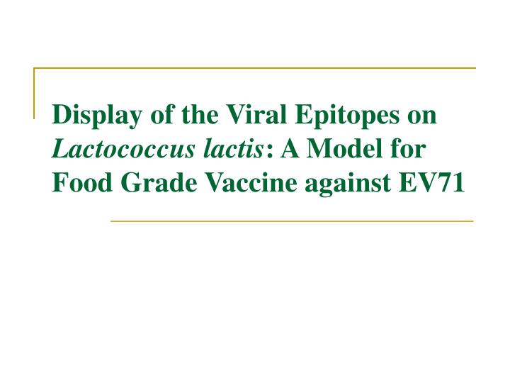display of the viral epitopes on lactococcus lactis a model for food grade vaccine against ev71