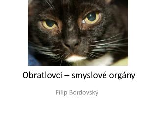 obratlovci smyslov org ny