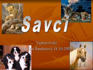 vypracovala martina anderov 18 10 2007