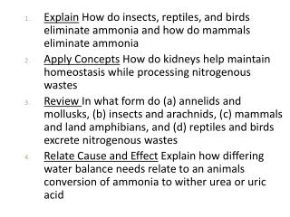 Ch 27 Animal Systems I